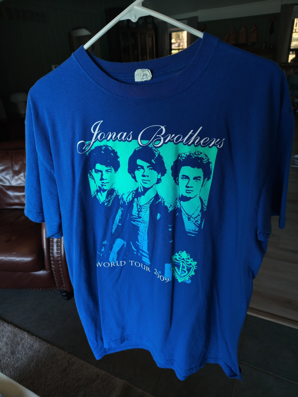 Gildan Blue Jonas Brothers Tour Graphic Tee with Teal Print